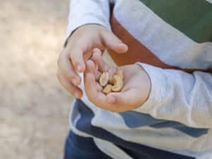 allergic reaction in kids - peanuts